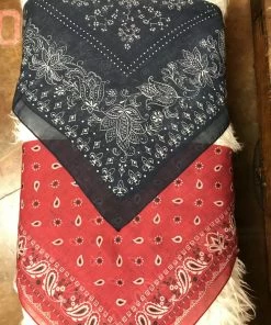 The Ranch House Red Bandit Silky Scarf Wild Rags/ Scarves