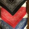 The Ranch House Wild Rags/ Scarves Small Bandana Scarves