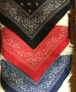 The Ranch House Wild Rags/ Scarves Small Bandana Scarves