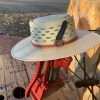The Ranch House Charlie 1 Horse Blue Roan Hat Hats