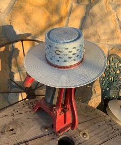 The Ranch House Charlie 1 Horse Blue Roan Hat Hats