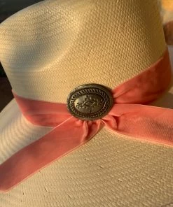 The Ranch House Charlie 1 Horse Only Prettier Hat