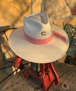The Ranch House Charlie 1 Horse Only Prettier Hat