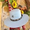 The Ranch House Charlie 1 Horse - Saguaro Hat In Baby Blue