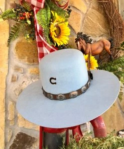 The Ranch House Charlie 1 Horse - Saguaro Hat In Baby Blue