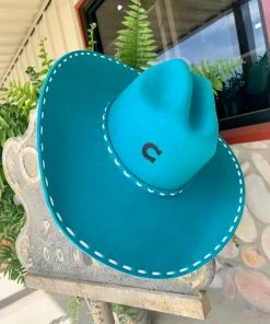 Hats Charlie 1 Horse Bucksnort Hat