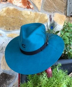 The Ranch House Charlie 1 Horse - Turquoise Highway Hat