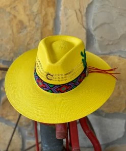 The Ranch House Charlie 1 Horse Mariachi Hat