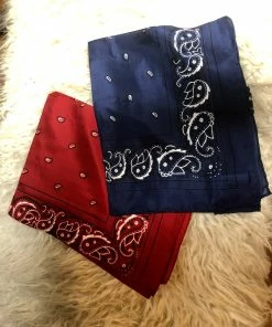 The Ranch House Silk Bandana Wild Rag Wild Rags/ Scarves