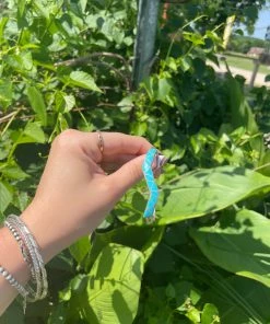 The Ranch House Zigs & Zags Turquoise Cuff Accessories