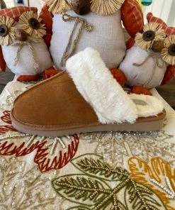 Volatile Cinderella's Slipper - The House Shoe Sale