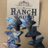 The Ranch House Gun Metal Stars Earring