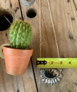 The Ranch House Ring Of Fire Squash Set