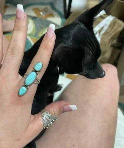 The Ranch House 3 Tear Turquoise Ring
