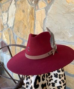 Charlie 1 Horse Teepee Hat