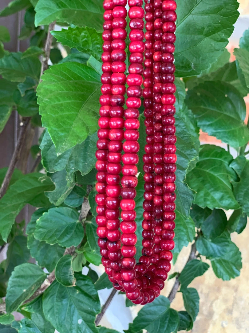 The Ranch House Accessories Ruby Slipper Coral Choker 4 The Ranch House Accessories Ruby Slipper Coral Choker