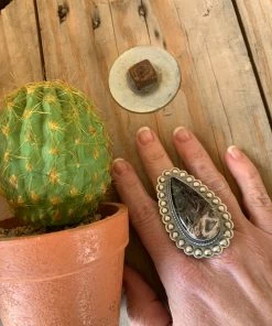 The Ranch House Ring Of Fire Squash Set