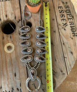 The Ranch House Ring Of Fire Squash Set