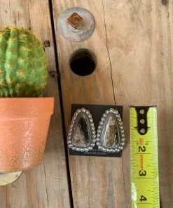 The Ranch House Ring Of Fire Squash Set