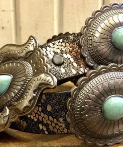 The Ranch House The Black Snake Belt